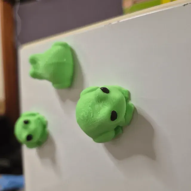 Mini Magnet Frogs! — Фото 5 из 9