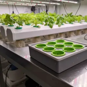 Seed Starter