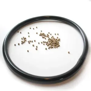 Fish Feeder Ring