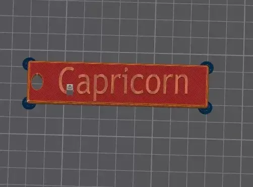 Zodiac Keychain Capricorn — Фото 2 из 3