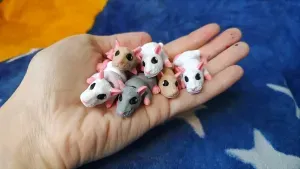 Micro Rat