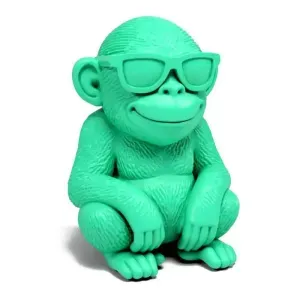 Donald the Monkey