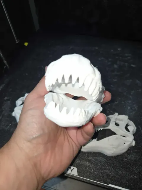 Jurassic Park Dinosaur Skulls Full and Halves Movie Decor — Image 5 of 9