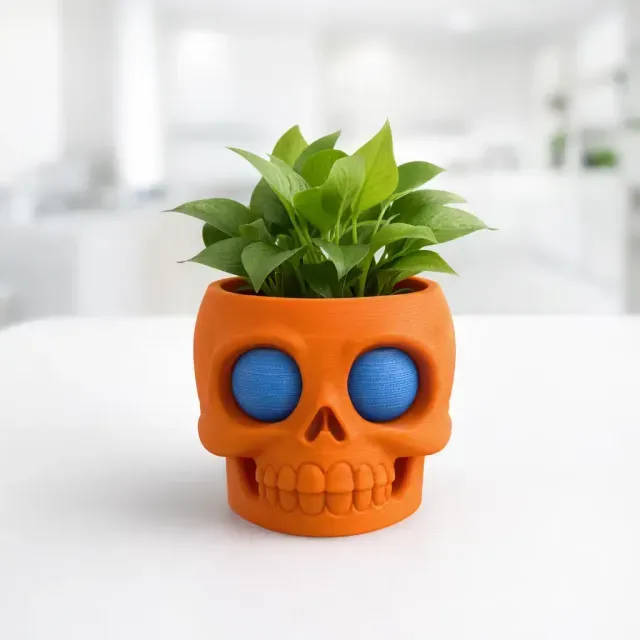 Skull Plant Pot | Cute Gothic Planter