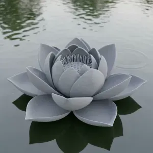 Flor de loto