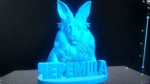 черемша мем