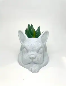 Maceta Bulldog