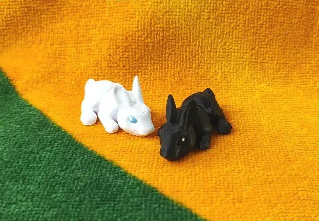 Micro Rabbit — Image 2 of 9