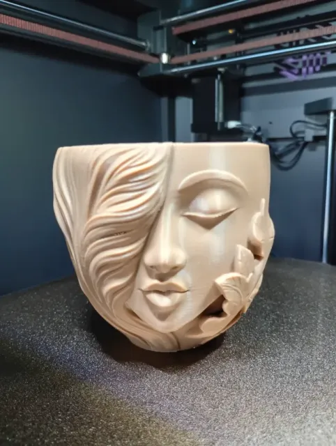 Hidden Face in Leaves Planter