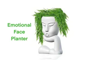 Emotional face planter