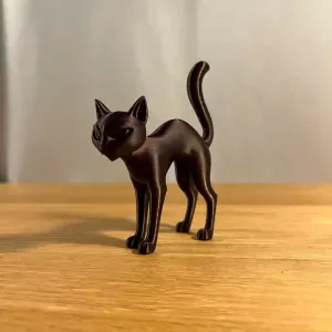 Spooky Cat