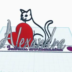 Anniversaire Alexandra