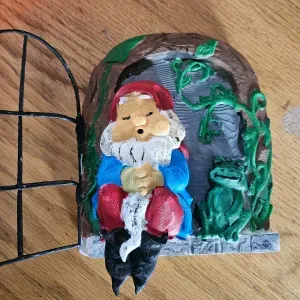 tuinkabouter met kikker