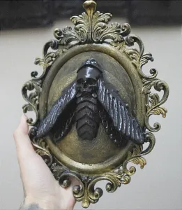 Death Head's Hawk Moth skull