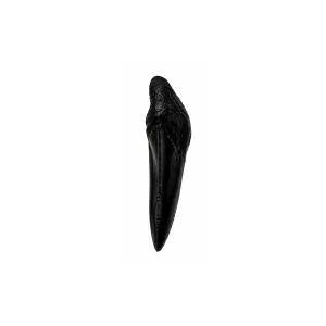 Megalodon Tooth | Fossil Replica
