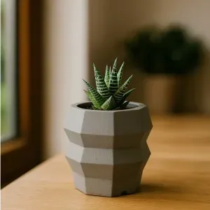 MACETA CACTUS