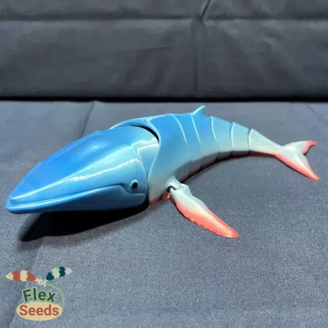 Flexi Humpback Whale (print-in-place) — Фото 5 из 9