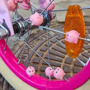 Bike wheel spoke piggies