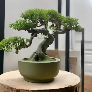 Round Bonsai Pot with Stand – Minimalist Planter