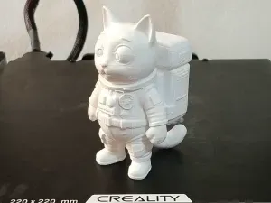 Astronaut cat