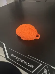 llavero cerebro