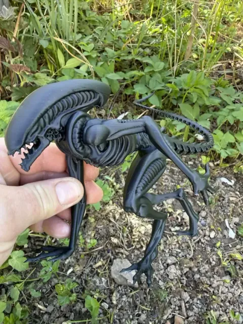 Alien, Xenomorph, monster from space — Фото 2 из 5