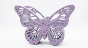 butterfly storage