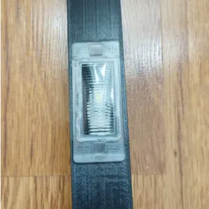 Kia Spectra license plate light