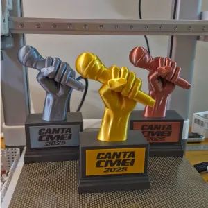 Troféu karaokê musical, Karaoke trophy music