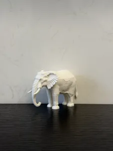 层纹大象