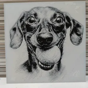 Hueforge dog with ball in mouth