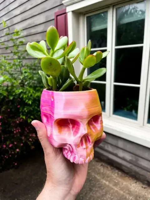 2 Hanging Skull Planter NO SUPPORT — Image 2 of 5