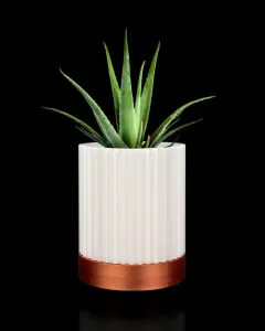 Wall Pot Planter