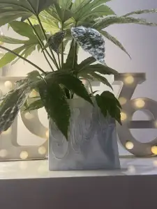 BAG FLOWER POT / VASE / FRUIT BOWL / CONTAINER