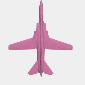MIG 23  jet