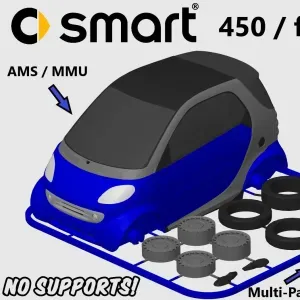 Smart 450 / ForTwo Kit Card (1:24 scale)