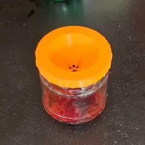 Fruit Fly trap for classic O,7l TO82 thread jar