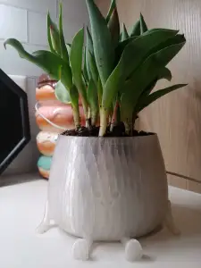 Happy Pot