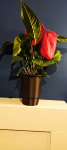 Beautiful Flowerpot tray mod