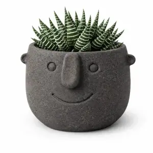 Face Pot Planter - Succulent - Cactus - Pothos