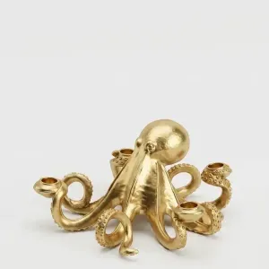 Octopus cantlestic