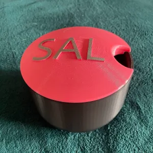 Saleiro