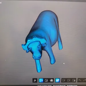 Buffulo