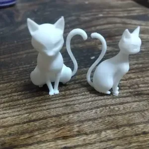The cat's name is Sora-pose2
