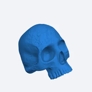 skull drawer knob