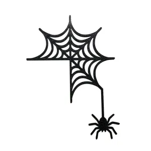 Spider web with its owner