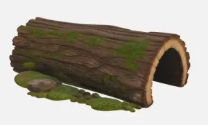 Reptile Log