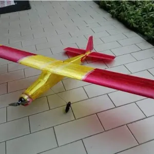 Muffin full 3D printed RC airplane