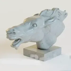 Horse head