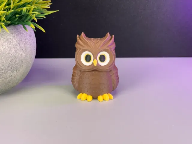 Owl — Image 3 of 9